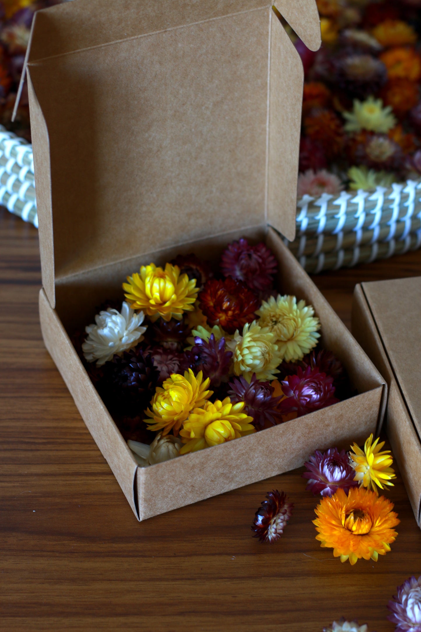 Naturally Dried Strawflowers