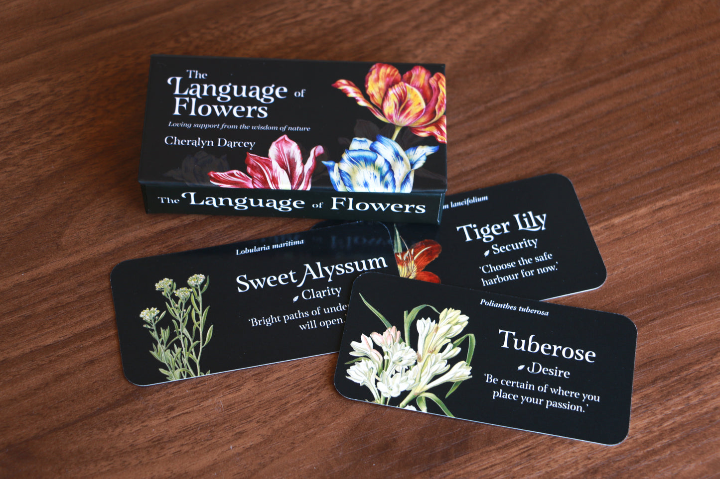 The Language of Flowers by Cheralyn Darcey